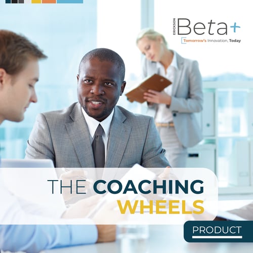 The coaching wheel_product