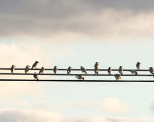 How Long Does It Take to Become a Certified Coach?