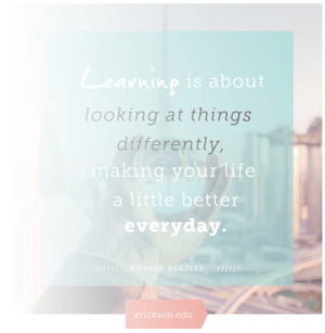 Learning to Look at Things Differently