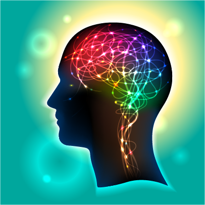 brain1