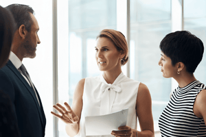 Erickson's AI Guiding Principles and Objectives