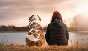 The hidden influence of values and how they impact every aspect of our lives