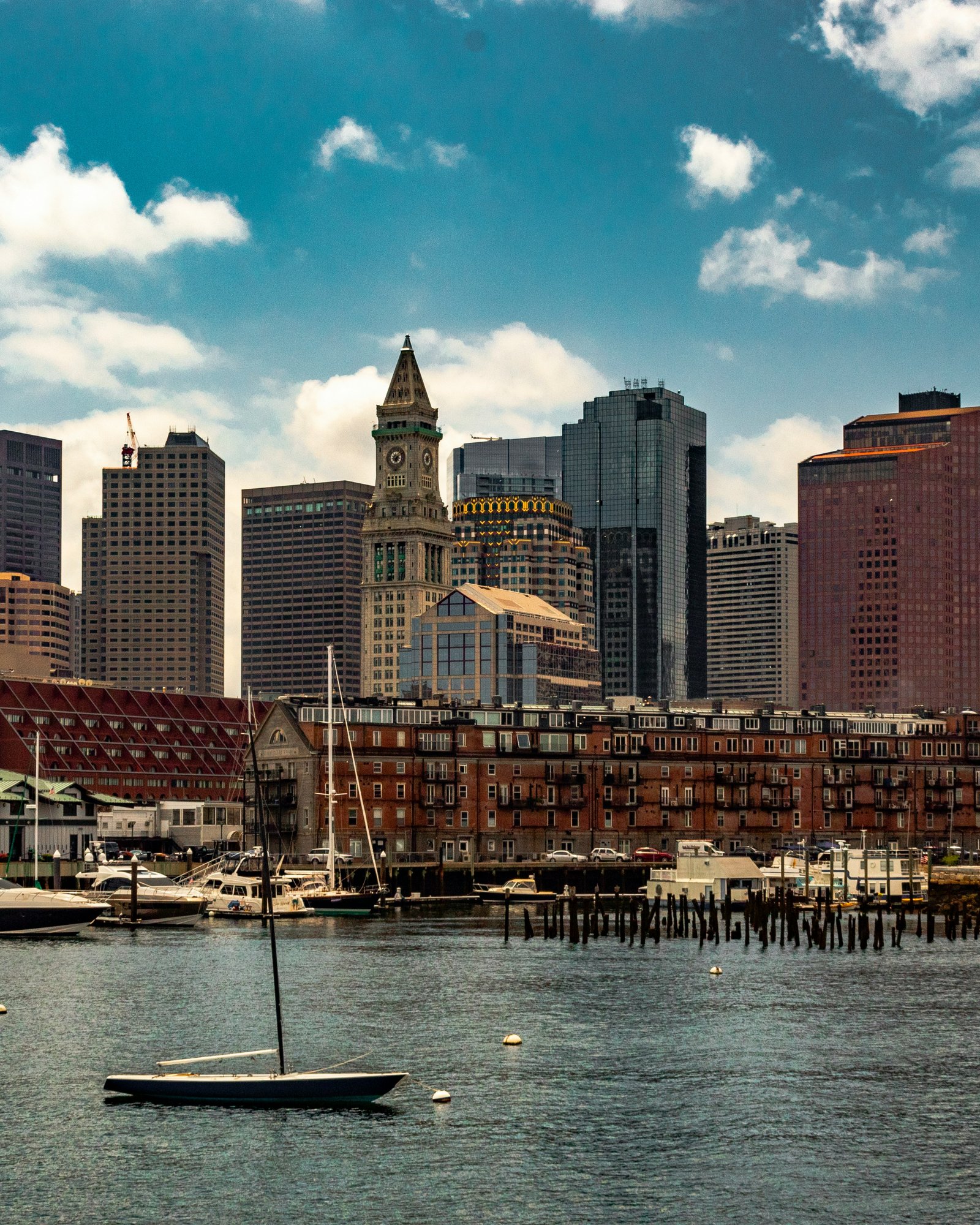 ozzie-stern-PKOcoqB1SQw-unsplash
