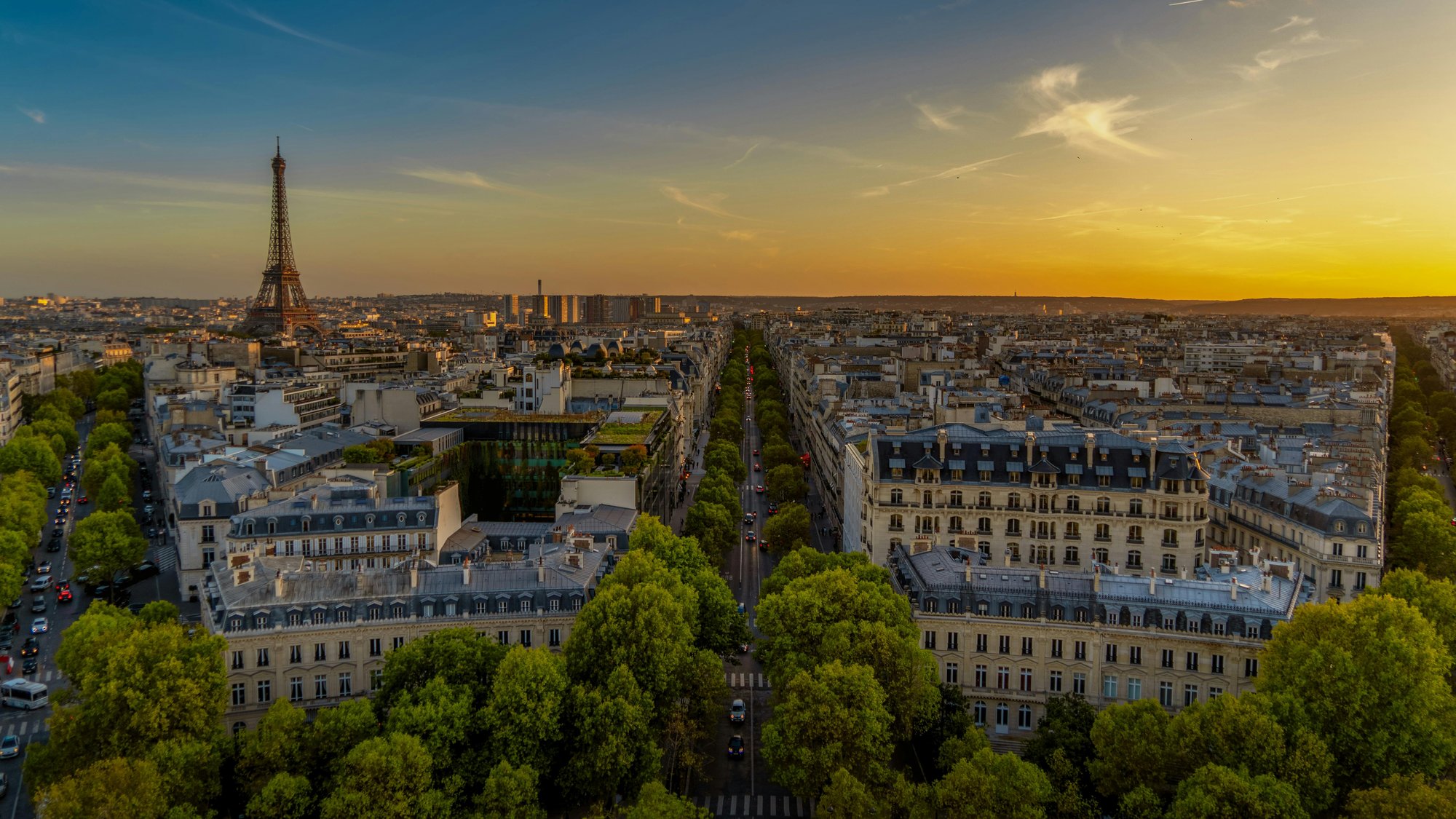 pexels-pierre-blache-651604-3105066