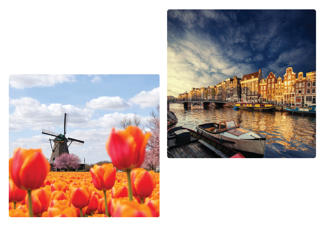 Amsterdam for Website_01-01